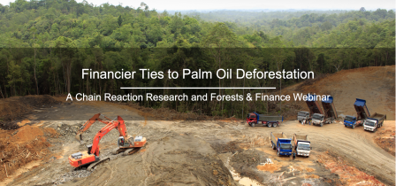 palm oil deforestation