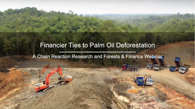 palm oil deforestation